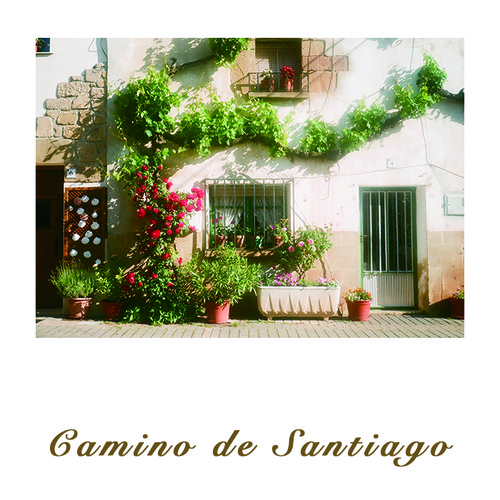 [필름사진엽서] Camino de Santiago 02. / 스페인책방