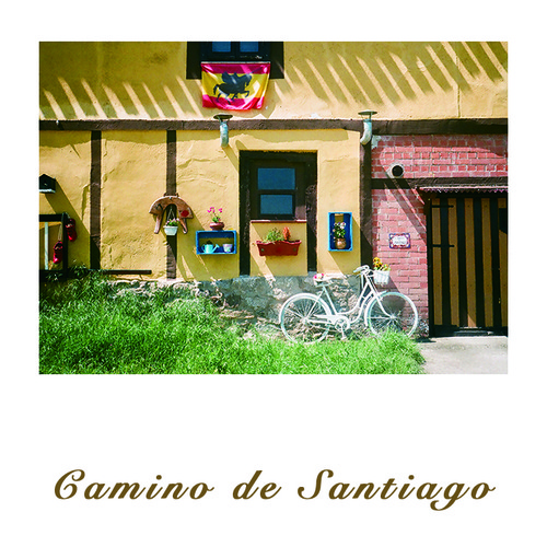 [필름사진엽서] Camino de Santiago 01. / 스페인책방