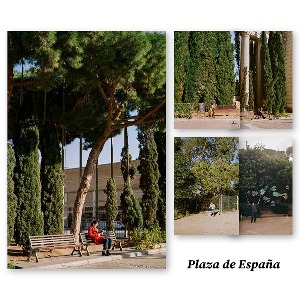 [엽서세트] 스페인 필름 사진 엽서 세트 01.Plaza de España / 수사진관